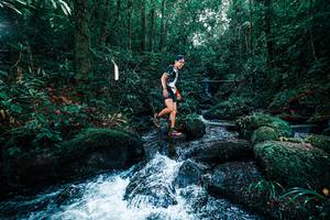 BIB: 
                            <button type="button" onclick="openModal(25246149)" class="btn btn-primary btn-sm float-right btn-popup" data-toggle="modal" data-target=".modal-high-quality">
                        <i class="fas fa-shopping-cart"></i> Add to Cart
                    </button>
                                            <button type="button" onclick="isThisMe(25246149, true)" class="btn btn-success btn-sm float-right btn-popup btn-isme hidden" data-toggle="tooltip" data-placement="bottom" title="นี่คือรูปของคุณใช่ไหม คลิกที่นี่เพื่อเอาเข้าอัลบั้ม">
                        <i class="fas fa-plus"></i> Add to album
                    </button>
                    <button type="button" onclick="isThisMe(25246149, false)" class="btn btn-warning btn-sm float-right btn-popup btn-isnotme hidden">
                        <i class="fas fa-ban"></i> Remove from album
                    </button>