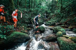 BIB: 
                            <button type="button" onclick="openModal(25246291)" class="btn btn-primary btn-sm float-right btn-popup" data-toggle="modal" data-target=".modal-high-quality">
                        <i class="fas fa-shopping-cart"></i> Add to Cart
                    </button>
                                            <button type="button" onclick="isThisMe(25246291, true)" class="btn btn-success btn-sm float-right btn-popup btn-isme hidden" data-toggle="tooltip" data-placement="bottom" title="นี่คือรูปของคุณใช่ไหม คลิกที่นี่เพื่อเอาเข้าอัลบั้ม">
                        <i class="fas fa-plus"></i> Add to album
                    </button>
                    <button type="button" onclick="isThisMe(25246291, false)" class="btn btn-warning btn-sm float-right btn-popup btn-isnotme hidden">
                        <i class="fas fa-ban"></i> Remove from album
                    </button>