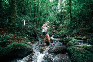 BIB: 
                            <button type="button" onclick="openModal(25245240)" class="btn btn-primary btn-sm float-right btn-popup" data-toggle="modal" data-target=".modal-high-quality">
                        <i class="fas fa-shopping-cart"></i> Add to Cart
                    </button>
                                            <button type="button" onclick="isThisMe(25245240, true)" class="btn btn-success btn-sm float-right btn-popup btn-isme hidden" data-toggle="tooltip" data-placement="bottom" title="นี่คือรูปของคุณใช่ไหม คลิกที่นี่เพื่อเอาเข้าอัลบั้ม">
                        <i class="fas fa-plus"></i> Add to album
                    </button>
                    <button type="button" onclick="isThisMe(25245240, false)" class="btn btn-warning btn-sm float-right btn-popup btn-isnotme hidden">
                        <i class="fas fa-ban"></i> Remove from album
                    </button>