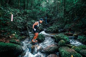 BIB: 
                            <button type="button" onclick="openModal(25244877)" class="btn btn-primary btn-sm float-right btn-popup" data-toggle="modal" data-target=".modal-high-quality">
                        <i class="fas fa-shopping-cart"></i> Add to Cart
                    </button>
                                            <button type="button" onclick="isThisMe(25244877, true)" class="btn btn-success btn-sm float-right btn-popup btn-isme hidden" data-toggle="tooltip" data-placement="bottom" title="นี่คือรูปของคุณใช่ไหม คลิกที่นี่เพื่อเอาเข้าอัลบั้ม">
                        <i class="fas fa-plus"></i> Add to album
                    </button>
                    <button type="button" onclick="isThisMe(25244877, false)" class="btn btn-warning btn-sm float-right btn-popup btn-isnotme hidden">
                        <i class="fas fa-ban"></i> Remove from album
                    </button>