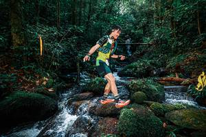 BIB: 
                            <button type="button" onclick="openModal(25244412)" class="btn btn-primary btn-sm float-right btn-popup" data-toggle="modal" data-target=".modal-high-quality">
                        <i class="fas fa-shopping-cart"></i> Add to Cart
                    </button>
                                            <button type="button" onclick="isThisMe(25244412, true)" class="btn btn-success btn-sm float-right btn-popup btn-isme hidden" data-toggle="tooltip" data-placement="bottom" title="นี่คือรูปของคุณใช่ไหม คลิกที่นี่เพื่อเอาเข้าอัลบั้ม">
                        <i class="fas fa-plus"></i> Add to album
                    </button>
                    <button type="button" onclick="isThisMe(25244412, false)" class="btn btn-warning btn-sm float-right btn-popup btn-isnotme hidden">
                        <i class="fas fa-ban"></i> Remove from album
                    </button>