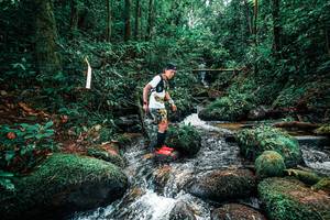 BIB: 
                            <button type="button" onclick="openModal(25246682)" class="btn btn-primary btn-sm float-right btn-popup" data-toggle="modal" data-target=".modal-high-quality">
                        <i class="fas fa-shopping-cart"></i> Add to Cart
                    </button>
                                            <button type="button" onclick="isThisMe(25246682, true)" class="btn btn-success btn-sm float-right btn-popup btn-isme hidden" data-toggle="tooltip" data-placement="bottom" title="นี่คือรูปของคุณใช่ไหม คลิกที่นี่เพื่อเอาเข้าอัลบั้ม">
                        <i class="fas fa-plus"></i> Add to album
                    </button>
                    <button type="button" onclick="isThisMe(25246682, false)" class="btn btn-warning btn-sm float-right btn-popup btn-isnotme hidden">
                        <i class="fas fa-ban"></i> Remove from album
                    </button>