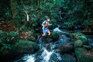 BIB: 
                            <button type="button" onclick="openModal(25247382)" class="btn btn-primary btn-sm float-right btn-popup" data-toggle="modal" data-target=".modal-high-quality">
                        <i class="fas fa-shopping-cart"></i> Add to Cart
                    </button>
                                            <button type="button" onclick="isThisMe(25247382, true)" class="btn btn-success btn-sm float-right btn-popup btn-isme hidden" data-toggle="tooltip" data-placement="bottom" title="นี่คือรูปของคุณใช่ไหม คลิกที่นี่เพื่อเอาเข้าอัลบั้ม">
                        <i class="fas fa-plus"></i> Add to album
                    </button>
                    <button type="button" onclick="isThisMe(25247382, false)" class="btn btn-warning btn-sm float-right btn-popup btn-isnotme hidden">
                        <i class="fas fa-ban"></i> Remove from album
                    </button>