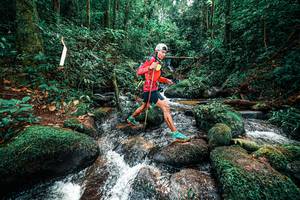 BIB: 
                            <button type="button" onclick="openModal(25246865)" class="btn btn-primary btn-sm float-right btn-popup" data-toggle="modal" data-target=".modal-high-quality">
                        <i class="fas fa-shopping-cart"></i> Add to Cart
                    </button>
                                            <button type="button" onclick="isThisMe(25246865, true)" class="btn btn-success btn-sm float-right btn-popup btn-isme hidden" data-toggle="tooltip" data-placement="bottom" title="นี่คือรูปของคุณใช่ไหม คลิกที่นี่เพื่อเอาเข้าอัลบั้ม">
                        <i class="fas fa-plus"></i> Add to album
                    </button>
                    <button type="button" onclick="isThisMe(25246865, false)" class="btn btn-warning btn-sm float-right btn-popup btn-isnotme hidden">
                        <i class="fas fa-ban"></i> Remove from album
                    </button>