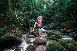 BIB: 
                            <button type="button" onclick="openModal(25244432)" class="btn btn-primary btn-sm float-right btn-popup" data-toggle="modal" data-target=".modal-high-quality">
                        <i class="fas fa-shopping-cart"></i> Add to Cart
                    </button>
                                            <button type="button" onclick="isThisMe(25244432, true)" class="btn btn-success btn-sm float-right btn-popup btn-isme hidden" data-toggle="tooltip" data-placement="bottom" title="นี่คือรูปของคุณใช่ไหม คลิกที่นี่เพื่อเอาเข้าอัลบั้ม">
                        <i class="fas fa-plus"></i> Add to album
                    </button>
                    <button type="button" onclick="isThisMe(25244432, false)" class="btn btn-warning btn-sm float-right btn-popup btn-isnotme hidden">
                        <i class="fas fa-ban"></i> Remove from album
                    </button>