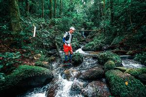 BIB: 
                            <button type="button" onclick="openModal(25245037)" class="btn btn-primary btn-sm float-right btn-popup" data-toggle="modal" data-target=".modal-high-quality">
                        <i class="fas fa-shopping-cart"></i> Add to Cart
                    </button>
                                            <button type="button" onclick="isThisMe(25245037, true)" class="btn btn-success btn-sm float-right btn-popup btn-isme hidden" data-toggle="tooltip" data-placement="bottom" title="นี่คือรูปของคุณใช่ไหม คลิกที่นี่เพื่อเอาเข้าอัลบั้ม">
                        <i class="fas fa-plus"></i> Add to album
                    </button>
                    <button type="button" onclick="isThisMe(25245037, false)" class="btn btn-warning btn-sm float-right btn-popup btn-isnotme hidden">
                        <i class="fas fa-ban"></i> Remove from album
                    </button>