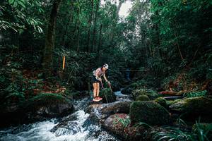 BIB: 
                            <button type="button" onclick="openModal(25244248)" class="btn btn-primary btn-sm float-right btn-popup" data-toggle="modal" data-target=".modal-high-quality">
                        <i class="fas fa-shopping-cart"></i> Add to Cart
                    </button>
                                            <button type="button" onclick="isThisMe(25244248, true)" class="btn btn-success btn-sm float-right btn-popup btn-isme hidden" data-toggle="tooltip" data-placement="bottom" title="นี่คือรูปของคุณใช่ไหม คลิกที่นี่เพื่อเอาเข้าอัลบั้ม">
                        <i class="fas fa-plus"></i> Add to album
                    </button>
                    <button type="button" onclick="isThisMe(25244248, false)" class="btn btn-warning btn-sm float-right btn-popup btn-isnotme hidden">
                        <i class="fas fa-ban"></i> Remove from album
                    </button>