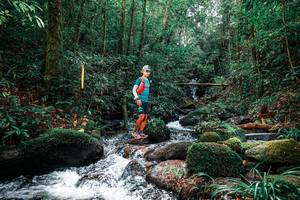 BIB: 
                            <button type="button" onclick="openModal(25244337)" class="btn btn-primary btn-sm float-right btn-popup" data-toggle="modal" data-target=".modal-high-quality">
                        <i class="fas fa-shopping-cart"></i> Add to Cart
                    </button>
                                            <button type="button" onclick="isThisMe(25244337, true)" class="btn btn-success btn-sm float-right btn-popup btn-isme hidden" data-toggle="tooltip" data-placement="bottom" title="นี่คือรูปของคุณใช่ไหม คลิกที่นี่เพื่อเอาเข้าอัลบั้ม">
                        <i class="fas fa-plus"></i> Add to album
                    </button>
                    <button type="button" onclick="isThisMe(25244337, false)" class="btn btn-warning btn-sm float-right btn-popup btn-isnotme hidden">
                        <i class="fas fa-ban"></i> Remove from album
                    </button>