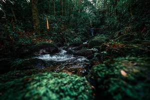 BIB: 
                            <button type="button" onclick="openModal(25244168)" class="btn btn-primary btn-sm float-right btn-popup" data-toggle="modal" data-target=".modal-high-quality">
                        <i class="fas fa-shopping-cart"></i> Add to Cart
                    </button>
                                            <button type="button" onclick="isThisMe(25244168, true)" class="btn btn-success btn-sm float-right btn-popup btn-isme hidden" data-toggle="tooltip" data-placement="bottom" title="นี่คือรูปของคุณใช่ไหม คลิกที่นี่เพื่อเอาเข้าอัลบั้ม">
                        <i class="fas fa-plus"></i> Add to album
                    </button>
                    <button type="button" onclick="isThisMe(25244168, false)" class="btn btn-warning btn-sm float-right btn-popup btn-isnotme hidden">
                        <i class="fas fa-ban"></i> Remove from album
                    </button>