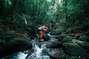 BIB: 
                            <button type="button" onclick="openModal(25245468)" class="btn btn-primary btn-sm float-right btn-popup" data-toggle="modal" data-target=".modal-high-quality">
                        <i class="fas fa-shopping-cart"></i> Add to Cart
                    </button>
                                            <button type="button" onclick="isThisMe(25245468, true)" class="btn btn-success btn-sm float-right btn-popup btn-isme hidden" data-toggle="tooltip" data-placement="bottom" title="นี่คือรูปของคุณใช่ไหม คลิกที่นี่เพื่อเอาเข้าอัลบั้ม">
                        <i class="fas fa-plus"></i> Add to album
                    </button>
                    <button type="button" onclick="isThisMe(25245468, false)" class="btn btn-warning btn-sm float-right btn-popup btn-isnotme hidden">
                        <i class="fas fa-ban"></i> Remove from album
                    </button>