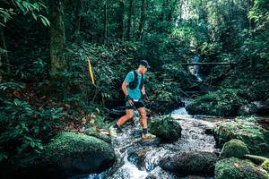 BIB: 
                            <button type="button" onclick="openModal(25244464)" class="btn btn-primary btn-sm float-right btn-popup" data-toggle="modal" data-target=".modal-high-quality">
                        <i class="fas fa-shopping-cart"></i> Add to Cart
                    </button>
                                            <button type="button" onclick="isThisMe(25244464, true)" class="btn btn-success btn-sm float-right btn-popup btn-isme hidden" data-toggle="tooltip" data-placement="bottom" title="นี่คือรูปของคุณใช่ไหม คลิกที่นี่เพื่อเอาเข้าอัลบั้ม">
                        <i class="fas fa-plus"></i> Add to album
                    </button>
                    <button type="button" onclick="isThisMe(25244464, false)" class="btn btn-warning btn-sm float-right btn-popup btn-isnotme hidden">
                        <i class="fas fa-ban"></i> Remove from album
                    </button>