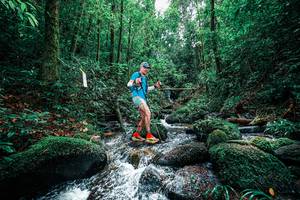 BIB: 
                            <button type="button" onclick="openModal(25245182)" class="btn btn-primary btn-sm float-right btn-popup" data-toggle="modal" data-target=".modal-high-quality">
                        <i class="fas fa-shopping-cart"></i> Add to Cart
                    </button>
                                            <button type="button" onclick="isThisMe(25245182, true)" class="btn btn-success btn-sm float-right btn-popup btn-isme hidden" data-toggle="tooltip" data-placement="bottom" title="นี่คือรูปของคุณใช่ไหม คลิกที่นี่เพื่อเอาเข้าอัลบั้ม">
                        <i class="fas fa-plus"></i> Add to album
                    </button>
                    <button type="button" onclick="isThisMe(25245182, false)" class="btn btn-warning btn-sm float-right btn-popup btn-isnotme hidden">
                        <i class="fas fa-ban"></i> Remove from album
                    </button>