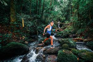 BIB: 
                            <button type="button" onclick="openModal(25244455)" class="btn btn-primary btn-sm float-right btn-popup" data-toggle="modal" data-target=".modal-high-quality">
                        <i class="fas fa-shopping-cart"></i> Add to Cart
                    </button>
                                            <button type="button" onclick="isThisMe(25244455, true)" class="btn btn-success btn-sm float-right btn-popup btn-isme hidden" data-toggle="tooltip" data-placement="bottom" title="นี่คือรูปของคุณใช่ไหม คลิกที่นี่เพื่อเอาเข้าอัลบั้ม">
                        <i class="fas fa-plus"></i> Add to album
                    </button>
                    <button type="button" onclick="isThisMe(25244455, false)" class="btn btn-warning btn-sm float-right btn-popup btn-isnotme hidden">
                        <i class="fas fa-ban"></i> Remove from album
                    </button>