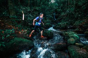 BIB: 
                            <button type="button" onclick="openModal(25247076)" class="btn btn-primary btn-sm float-right btn-popup" data-toggle="modal" data-target=".modal-high-quality">
                        <i class="fas fa-shopping-cart"></i> Add to Cart
                    </button>
                                            <button type="button" onclick="isThisMe(25247076, true)" class="btn btn-success btn-sm float-right btn-popup btn-isme hidden" data-toggle="tooltip" data-placement="bottom" title="นี่คือรูปของคุณใช่ไหม คลิกที่นี่เพื่อเอาเข้าอัลบั้ม">
                        <i class="fas fa-plus"></i> Add to album
                    </button>
                    <button type="button" onclick="isThisMe(25247076, false)" class="btn btn-warning btn-sm float-right btn-popup btn-isnotme hidden">
                        <i class="fas fa-ban"></i> Remove from album
                    </button>