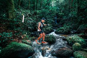 BIB: 
                            <button type="button" onclick="openModal(25244870)" class="btn btn-primary btn-sm float-right btn-popup" data-toggle="modal" data-target=".modal-high-quality">
                        <i class="fas fa-shopping-cart"></i> Add to Cart
                    </button>
                                            <button type="button" onclick="isThisMe(25244870, true)" class="btn btn-success btn-sm float-right btn-popup btn-isme hidden" data-toggle="tooltip" data-placement="bottom" title="นี่คือรูปของคุณใช่ไหม คลิกที่นี่เพื่อเอาเข้าอัลบั้ม">
                        <i class="fas fa-plus"></i> Add to album
                    </button>
                    <button type="button" onclick="isThisMe(25244870, false)" class="btn btn-warning btn-sm float-right btn-popup btn-isnotme hidden">
                        <i class="fas fa-ban"></i> Remove from album
                    </button>