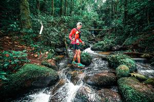 BIB: 
                            <button type="button" onclick="openModal(25246864)" class="btn btn-primary btn-sm float-right btn-popup" data-toggle="modal" data-target=".modal-high-quality">
                        <i class="fas fa-shopping-cart"></i> Add to Cart
                    </button>
                                            <button type="button" onclick="isThisMe(25246864, true)" class="btn btn-success btn-sm float-right btn-popup btn-isme hidden" data-toggle="tooltip" data-placement="bottom" title="นี่คือรูปของคุณใช่ไหม คลิกที่นี่เพื่อเอาเข้าอัลบั้ม">
                        <i class="fas fa-plus"></i> Add to album
                    </button>
                    <button type="button" onclick="isThisMe(25246864, false)" class="btn btn-warning btn-sm float-right btn-popup btn-isnotme hidden">
                        <i class="fas fa-ban"></i> Remove from album
                    </button>