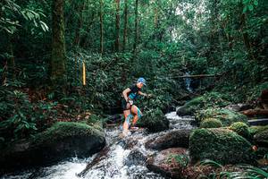 BIB: 
                            <button type="button" onclick="openModal(25244303)" class="btn btn-primary btn-sm float-right btn-popup" data-toggle="modal" data-target=".modal-high-quality">
                        <i class="fas fa-shopping-cart"></i> Add to Cart
                    </button>
                                            <button type="button" onclick="isThisMe(25244303, true)" class="btn btn-success btn-sm float-right btn-popup btn-isme hidden" data-toggle="tooltip" data-placement="bottom" title="นี่คือรูปของคุณใช่ไหม คลิกที่นี่เพื่อเอาเข้าอัลบั้ม">
                        <i class="fas fa-plus"></i> Add to album
                    </button>
                    <button type="button" onclick="isThisMe(25244303, false)" class="btn btn-warning btn-sm float-right btn-popup btn-isnotme hidden">
                        <i class="fas fa-ban"></i> Remove from album
                    </button>