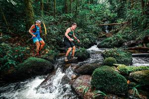 BIB: 
                            <button type="button" onclick="openModal(25244152)" class="btn btn-primary btn-sm float-right btn-popup" data-toggle="modal" data-target=".modal-high-quality">
                        <i class="fas fa-shopping-cart"></i> Add to Cart
                    </button>
                                            <button type="button" onclick="isThisMe(25244152, true)" class="btn btn-success btn-sm float-right btn-popup btn-isme hidden" data-toggle="tooltip" data-placement="bottom" title="นี่คือรูปของคุณใช่ไหม คลิกที่นี่เพื่อเอาเข้าอัลบั้ม">
                        <i class="fas fa-plus"></i> Add to album
                    </button>
                    <button type="button" onclick="isThisMe(25244152, false)" class="btn btn-warning btn-sm float-right btn-popup btn-isnotme hidden">
                        <i class="fas fa-ban"></i> Remove from album
                    </button>