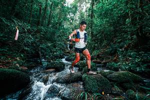 BIB: 
                            <button type="button" onclick="openModal(25245474)" class="btn btn-primary btn-sm float-right btn-popup" data-toggle="modal" data-target=".modal-high-quality">
                        <i class="fas fa-shopping-cart"></i> Add to Cart
                    </button>
                                            <button type="button" onclick="isThisMe(25245474, true)" class="btn btn-success btn-sm float-right btn-popup btn-isme hidden" data-toggle="tooltip" data-placement="bottom" title="นี่คือรูปของคุณใช่ไหม คลิกที่นี่เพื่อเอาเข้าอัลบั้ม">
                        <i class="fas fa-plus"></i> Add to album
                    </button>
                    <button type="button" onclick="isThisMe(25245474, false)" class="btn btn-warning btn-sm float-right btn-popup btn-isnotme hidden">
                        <i class="fas fa-ban"></i> Remove from album
                    </button>