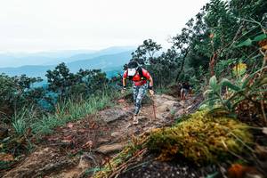 BIB: 
                            <button type="button" onclick="openModal(25407805)" class="btn btn-primary btn-sm float-right btn-popup" data-toggle="modal" data-target=".modal-high-quality">
                        <i class="fas fa-shopping-cart"></i> Add to Cart
                    </button>
                                            <button type="button" onclick="isThisMe(25407805, true)" class="btn btn-success btn-sm float-right btn-popup btn-isme hidden" data-toggle="tooltip" data-placement="bottom" title="นี่คือรูปของคุณใช่ไหม คลิกที่นี่เพื่อเอาเข้าอัลบั้ม">
                        <i class="fas fa-plus"></i> Add to album
                    </button>
                    <button type="button" onclick="isThisMe(25407805, false)" class="btn btn-warning btn-sm float-right btn-popup btn-isnotme hidden">
                        <i class="fas fa-ban"></i> Remove from album
                    </button>