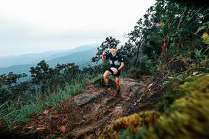 BIB: 
                            <button type="button" onclick="openModal(25402916)" class="btn btn-primary btn-sm float-right btn-popup" data-toggle="modal" data-target=".modal-high-quality">
                        <i class="fas fa-shopping-cart"></i> Add to Cart
                    </button>
                                            <button type="button" onclick="isThisMe(25402916, true)" class="btn btn-success btn-sm float-right btn-popup btn-isme hidden" data-toggle="tooltip" data-placement="bottom" title="นี่คือรูปของคุณใช่ไหม คลิกที่นี่เพื่อเอาเข้าอัลบั้ม">
                        <i class="fas fa-plus"></i> Add to album
                    </button>
                    <button type="button" onclick="isThisMe(25402916, false)" class="btn btn-warning btn-sm float-right btn-popup btn-isnotme hidden">
                        <i class="fas fa-ban"></i> Remove from album
                    </button>