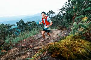 BIB: 
                            <button type="button" onclick="openModal(25408568)" class="btn btn-primary btn-sm float-right btn-popup" data-toggle="modal" data-target=".modal-high-quality">
                        <i class="fas fa-shopping-cart"></i> Add to Cart
                    </button>
                                            <button type="button" onclick="isThisMe(25408568, true)" class="btn btn-success btn-sm float-right btn-popup btn-isme hidden" data-toggle="tooltip" data-placement="bottom" title="นี่คือรูปของคุณใช่ไหม คลิกที่นี่เพื่อเอาเข้าอัลบั้ม">
                        <i class="fas fa-plus"></i> Add to album
                    </button>
                    <button type="button" onclick="isThisMe(25408568, false)" class="btn btn-warning btn-sm float-right btn-popup btn-isnotme hidden">
                        <i class="fas fa-ban"></i> Remove from album
                    </button>