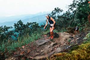 BIB: 
                            <button type="button" onclick="openModal(25415281)" class="btn btn-primary btn-sm float-right btn-popup" data-toggle="modal" data-target=".modal-high-quality">
                        <i class="fas fa-shopping-cart"></i> Add to Cart
                    </button>
                                            <button type="button" onclick="isThisMe(25415281, true)" class="btn btn-success btn-sm float-right btn-popup btn-isme hidden" data-toggle="tooltip" data-placement="bottom" title="นี่คือรูปของคุณใช่ไหม คลิกที่นี่เพื่อเอาเข้าอัลบั้ม">
                        <i class="fas fa-plus"></i> Add to album
                    </button>
                    <button type="button" onclick="isThisMe(25415281, false)" class="btn btn-warning btn-sm float-right btn-popup btn-isnotme hidden">
                        <i class="fas fa-ban"></i> Remove from album
                    </button>