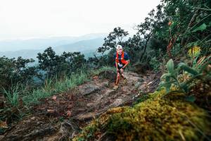 BIB: 
                            <button type="button" onclick="openModal(25403589)" class="btn btn-primary btn-sm float-right btn-popup" data-toggle="modal" data-target=".modal-high-quality">
                        <i class="fas fa-shopping-cart"></i> Add to Cart
                    </button>
                                            <button type="button" onclick="isThisMe(25403589, true)" class="btn btn-success btn-sm float-right btn-popup btn-isme hidden" data-toggle="tooltip" data-placement="bottom" title="นี่คือรูปของคุณใช่ไหม คลิกที่นี่เพื่อเอาเข้าอัลบั้ม">
                        <i class="fas fa-plus"></i> Add to album
                    </button>
                    <button type="button" onclick="isThisMe(25403589, false)" class="btn btn-warning btn-sm float-right btn-popup btn-isnotme hidden">
                        <i class="fas fa-ban"></i> Remove from album
                    </button>