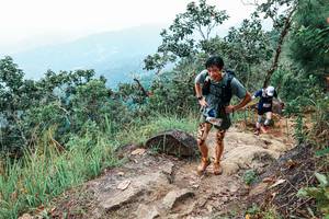 BIB: 
                            <button type="button" onclick="openModal(25425391)" class="btn btn-primary btn-sm float-right btn-popup" data-toggle="modal" data-target=".modal-high-quality">
                        <i class="fas fa-shopping-cart"></i> Add to Cart
                    </button>
                                            <button type="button" onclick="isThisMe(25425391, true)" class="btn btn-success btn-sm float-right btn-popup btn-isme hidden" data-toggle="tooltip" data-placement="bottom" title="นี่คือรูปของคุณใช่ไหม คลิกที่นี่เพื่อเอาเข้าอัลบั้ม">
                        <i class="fas fa-plus"></i> Add to album
                    </button>
                    <button type="button" onclick="isThisMe(25425391, false)" class="btn btn-warning btn-sm float-right btn-popup btn-isnotme hidden">
                        <i class="fas fa-ban"></i> Remove from album
                    </button>