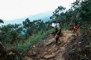 BIB: 
                            <button type="button" onclick="openModal(25425287)" class="btn btn-primary btn-sm float-right btn-popup" data-toggle="modal" data-target=".modal-high-quality">
                        <i class="fas fa-shopping-cart"></i> Add to Cart
                    </button>
                                            <button type="button" onclick="isThisMe(25425287, true)" class="btn btn-success btn-sm float-right btn-popup btn-isme hidden" data-toggle="tooltip" data-placement="bottom" title="นี่คือรูปของคุณใช่ไหม คลิกที่นี่เพื่อเอาเข้าอัลบั้ม">
                        <i class="fas fa-plus"></i> Add to album
                    </button>
                    <button type="button" onclick="isThisMe(25425287, false)" class="btn btn-warning btn-sm float-right btn-popup btn-isnotme hidden">
                        <i class="fas fa-ban"></i> Remove from album
                    </button>