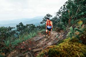 BIB: 
                            <button type="button" onclick="openModal(25404237)" class="btn btn-primary btn-sm float-right btn-popup" data-toggle="modal" data-target=".modal-high-quality">
                        <i class="fas fa-shopping-cart"></i> Add to Cart
                    </button>
                                            <button type="button" onclick="isThisMe(25404237, true)" class="btn btn-success btn-sm float-right btn-popup btn-isme hidden" data-toggle="tooltip" data-placement="bottom" title="นี่คือรูปของคุณใช่ไหม คลิกที่นี่เพื่อเอาเข้าอัลบั้ม">
                        <i class="fas fa-plus"></i> Add to album
                    </button>
                    <button type="button" onclick="isThisMe(25404237, false)" class="btn btn-warning btn-sm float-right btn-popup btn-isnotme hidden">
                        <i class="fas fa-ban"></i> Remove from album
                    </button>