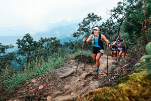 BIB: 
                            <button type="button" onclick="openModal(25417808)" class="btn btn-primary btn-sm float-right btn-popup" data-toggle="modal" data-target=".modal-high-quality">
                        <i class="fas fa-shopping-cart"></i> Add to Cart
                    </button>
                                            <button type="button" onclick="isThisMe(25417808, true)" class="btn btn-success btn-sm float-right btn-popup btn-isme hidden" data-toggle="tooltip" data-placement="bottom" title="นี่คือรูปของคุณใช่ไหม คลิกที่นี่เพื่อเอาเข้าอัลบั้ม">
                        <i class="fas fa-plus"></i> Add to album
                    </button>
                    <button type="button" onclick="isThisMe(25417808, false)" class="btn btn-warning btn-sm float-right btn-popup btn-isnotme hidden">
                        <i class="fas fa-ban"></i> Remove from album
                    </button>