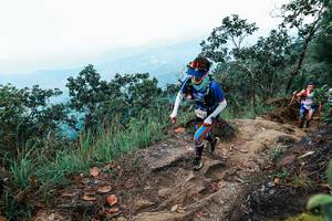 BIB: 
                            <button type="button" onclick="openModal(25420077)" class="btn btn-primary btn-sm float-right btn-popup" data-toggle="modal" data-target=".modal-high-quality">
                        <i class="fas fa-shopping-cart"></i> Add to Cart
                    </button>
                                            <button type="button" onclick="isThisMe(25420077, true)" class="btn btn-success btn-sm float-right btn-popup btn-isme hidden" data-toggle="tooltip" data-placement="bottom" title="นี่คือรูปของคุณใช่ไหม คลิกที่นี่เพื่อเอาเข้าอัลบั้ม">
                        <i class="fas fa-plus"></i> Add to album
                    </button>
                    <button type="button" onclick="isThisMe(25420077, false)" class="btn btn-warning btn-sm float-right btn-popup btn-isnotme hidden">
                        <i class="fas fa-ban"></i> Remove from album
                    </button>