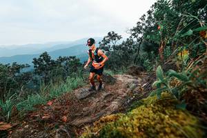 BIB: 
                            <button type="button" onclick="openModal(25403169)" class="btn btn-primary btn-sm float-right btn-popup" data-toggle="modal" data-target=".modal-high-quality">
                        <i class="fas fa-shopping-cart"></i> Add to Cart
                    </button>
                                            <button type="button" onclick="isThisMe(25403169, true)" class="btn btn-success btn-sm float-right btn-popup btn-isme hidden" data-toggle="tooltip" data-placement="bottom" title="นี่คือรูปของคุณใช่ไหม คลิกที่นี่เพื่อเอาเข้าอัลบั้ม">
                        <i class="fas fa-plus"></i> Add to album
                    </button>
                    <button type="button" onclick="isThisMe(25403169, false)" class="btn btn-warning btn-sm float-right btn-popup btn-isnotme hidden">
                        <i class="fas fa-ban"></i> Remove from album
                    </button>