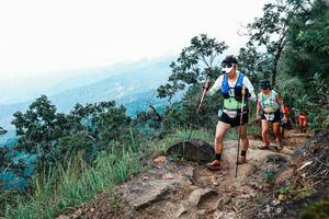 BIB: 
                            <button type="button" onclick="openModal(25418787)" class="btn btn-primary btn-sm float-right btn-popup" data-toggle="modal" data-target=".modal-high-quality">
                        <i class="fas fa-shopping-cart"></i> Add to Cart
                    </button>
                                            <button type="button" onclick="isThisMe(25418787, true)" class="btn btn-success btn-sm float-right btn-popup btn-isme hidden" data-toggle="tooltip" data-placement="bottom" title="นี่คือรูปของคุณใช่ไหม คลิกที่นี่เพื่อเอาเข้าอัลบั้ม">
                        <i class="fas fa-plus"></i> Add to album
                    </button>
                    <button type="button" onclick="isThisMe(25418787, false)" class="btn btn-warning btn-sm float-right btn-popup btn-isnotme hidden">
                        <i class="fas fa-ban"></i> Remove from album
                    </button>