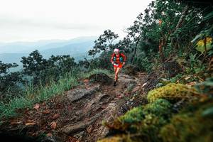 BIB: 
                            <button type="button" onclick="openModal(25402708)" class="btn btn-primary btn-sm float-right btn-popup" data-toggle="modal" data-target=".modal-high-quality">
                        <i class="fas fa-shopping-cart"></i> Add to Cart
                    </button>
                                            <button type="button" onclick="isThisMe(25402708, true)" class="btn btn-success btn-sm float-right btn-popup btn-isme hidden" data-toggle="tooltip" data-placement="bottom" title="นี่คือรูปของคุณใช่ไหม คลิกที่นี่เพื่อเอาเข้าอัลบั้ม">
                        <i class="fas fa-plus"></i> Add to album
                    </button>
                    <button type="button" onclick="isThisMe(25402708, false)" class="btn btn-warning btn-sm float-right btn-popup btn-isnotme hidden">
                        <i class="fas fa-ban"></i> Remove from album
                    </button>