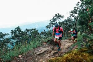 BIB: 
                            <button type="button" onclick="openModal(25425697)" class="btn btn-primary btn-sm float-right btn-popup" data-toggle="modal" data-target=".modal-high-quality">
                        <i class="fas fa-shopping-cart"></i> Add to Cart
                    </button>
                                            <button type="button" onclick="isThisMe(25425697, true)" class="btn btn-success btn-sm float-right btn-popup btn-isme hidden" data-toggle="tooltip" data-placement="bottom" title="นี่คือรูปของคุณใช่ไหม คลิกที่นี่เพื่อเอาเข้าอัลบั้ม">
                        <i class="fas fa-plus"></i> Add to album
                    </button>
                    <button type="button" onclick="isThisMe(25425697, false)" class="btn btn-warning btn-sm float-right btn-popup btn-isnotme hidden">
                        <i class="fas fa-ban"></i> Remove from album
                    </button>