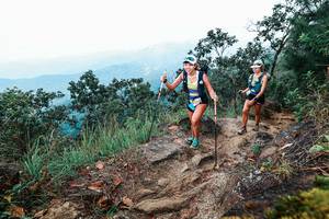 BIB: 
                            <button type="button" onclick="openModal(25416293)" class="btn btn-primary btn-sm float-right btn-popup" data-toggle="modal" data-target=".modal-high-quality">
                        <i class="fas fa-shopping-cart"></i> Add to Cart
                    </button>
                                            <button type="button" onclick="isThisMe(25416293, true)" class="btn btn-success btn-sm float-right btn-popup btn-isme hidden" data-toggle="tooltip" data-placement="bottom" title="นี่คือรูปของคุณใช่ไหม คลิกที่นี่เพื่อเอาเข้าอัลบั้ม">
                        <i class="fas fa-plus"></i> Add to album
                    </button>
                    <button type="button" onclick="isThisMe(25416293, false)" class="btn btn-warning btn-sm float-right btn-popup btn-isnotme hidden">
                        <i class="fas fa-ban"></i> Remove from album
                    </button>