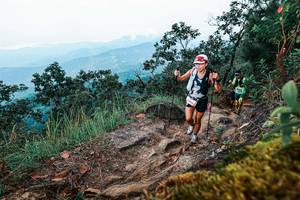 BIB: 
                            <button type="button" onclick="openModal(25415324)" class="btn btn-primary btn-sm float-right btn-popup" data-toggle="modal" data-target=".modal-high-quality">
                        <i class="fas fa-shopping-cart"></i> Add to Cart
                    </button>
                                            <button type="button" onclick="isThisMe(25415324, true)" class="btn btn-success btn-sm float-right btn-popup btn-isme hidden" data-toggle="tooltip" data-placement="bottom" title="นี่คือรูปของคุณใช่ไหม คลิกที่นี่เพื่อเอาเข้าอัลบั้ม">
                        <i class="fas fa-plus"></i> Add to album
                    </button>
                    <button type="button" onclick="isThisMe(25415324, false)" class="btn btn-warning btn-sm float-right btn-popup btn-isnotme hidden">
                        <i class="fas fa-ban"></i> Remove from album
                    </button>