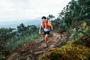 BIB: 
                            <button type="button" onclick="openModal(25404256)" class="btn btn-primary btn-sm float-right btn-popup" data-toggle="modal" data-target=".modal-high-quality">
                        <i class="fas fa-shopping-cart"></i> Add to Cart
                    </button>
                                            <button type="button" onclick="isThisMe(25404256, true)" class="btn btn-success btn-sm float-right btn-popup btn-isme hidden" data-toggle="tooltip" data-placement="bottom" title="นี่คือรูปของคุณใช่ไหม คลิกที่นี่เพื่อเอาเข้าอัลบั้ม">
                        <i class="fas fa-plus"></i> Add to album
                    </button>
                    <button type="button" onclick="isThisMe(25404256, false)" class="btn btn-warning btn-sm float-right btn-popup btn-isnotme hidden">
                        <i class="fas fa-ban"></i> Remove from album
                    </button>