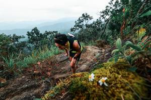 BIB: 
                            <button type="button" onclick="openModal(25403289)" class="btn btn-primary btn-sm float-right btn-popup" data-toggle="modal" data-target=".modal-high-quality">
                        <i class="fas fa-shopping-cart"></i> Add to Cart
                    </button>
                                            <button type="button" onclick="isThisMe(25403289, true)" class="btn btn-success btn-sm float-right btn-popup btn-isme hidden" data-toggle="tooltip" data-placement="bottom" title="นี่คือรูปของคุณใช่ไหม คลิกที่นี่เพื่อเอาเข้าอัลบั้ม">
                        <i class="fas fa-plus"></i> Add to album
                    </button>
                    <button type="button" onclick="isThisMe(25403289, false)" class="btn btn-warning btn-sm float-right btn-popup btn-isnotme hidden">
                        <i class="fas fa-ban"></i> Remove from album
                    </button>