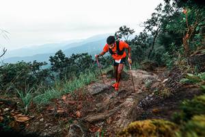 BIB: 
                            <button type="button" onclick="openModal(25402845)" class="btn btn-primary btn-sm float-right btn-popup" data-toggle="modal" data-target=".modal-high-quality">
                        <i class="fas fa-shopping-cart"></i> Add to Cart
                    </button>
                                            <button type="button" onclick="isThisMe(25402845, true)" class="btn btn-success btn-sm float-right btn-popup btn-isme hidden" data-toggle="tooltip" data-placement="bottom" title="นี่คือรูปของคุณใช่ไหม คลิกที่นี่เพื่อเอาเข้าอัลบั้ม">
                        <i class="fas fa-plus"></i> Add to album
                    </button>
                    <button type="button" onclick="isThisMe(25402845, false)" class="btn btn-warning btn-sm float-right btn-popup btn-isnotme hidden">
                        <i class="fas fa-ban"></i> Remove from album
                    </button>