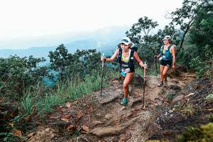 BIB: 
                            <button type="button" onclick="openModal(25416298)" class="btn btn-primary btn-sm float-right btn-popup" data-toggle="modal" data-target=".modal-high-quality">
                        <i class="fas fa-shopping-cart"></i> Add to Cart
                    </button>
                                            <button type="button" onclick="isThisMe(25416298, true)" class="btn btn-success btn-sm float-right btn-popup btn-isme hidden" data-toggle="tooltip" data-placement="bottom" title="นี่คือรูปของคุณใช่ไหม คลิกที่นี่เพื่อเอาเข้าอัลบั้ม">
                        <i class="fas fa-plus"></i> Add to album
                    </button>
                    <button type="button" onclick="isThisMe(25416298, false)" class="btn btn-warning btn-sm float-right btn-popup btn-isnotme hidden">
                        <i class="fas fa-ban"></i> Remove from album
                    </button>