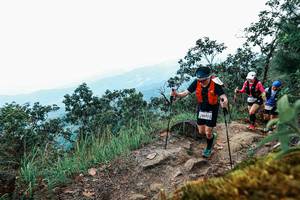 BIB: 
                            <button type="button" onclick="openModal(25425712)" class="btn btn-primary btn-sm float-right btn-popup" data-toggle="modal" data-target=".modal-high-quality">
                        <i class="fas fa-shopping-cart"></i> Add to Cart
                    </button>
                                            <button type="button" onclick="isThisMe(25425712, true)" class="btn btn-success btn-sm float-right btn-popup btn-isme hidden" data-toggle="tooltip" data-placement="bottom" title="นี่คือรูปของคุณใช่ไหม คลิกที่นี่เพื่อเอาเข้าอัลบั้ม">
                        <i class="fas fa-plus"></i> Add to album
                    </button>
                    <button type="button" onclick="isThisMe(25425712, false)" class="btn btn-warning btn-sm float-right btn-popup btn-isnotme hidden">
                        <i class="fas fa-ban"></i> Remove from album
                    </button>