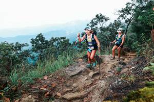 BIB: 
                            <button type="button" onclick="openModal(25416282)" class="btn btn-primary btn-sm float-right btn-popup" data-toggle="modal" data-target=".modal-high-quality">
                        <i class="fas fa-shopping-cart"></i> Add to Cart
                    </button>
                                            <button type="button" onclick="isThisMe(25416282, true)" class="btn btn-success btn-sm float-right btn-popup btn-isme hidden" data-toggle="tooltip" data-placement="bottom" title="นี่คือรูปของคุณใช่ไหม คลิกที่นี่เพื่อเอาเข้าอัลบั้ม">
                        <i class="fas fa-plus"></i> Add to album
                    </button>
                    <button type="button" onclick="isThisMe(25416282, false)" class="btn btn-warning btn-sm float-right btn-popup btn-isnotme hidden">
                        <i class="fas fa-ban"></i> Remove from album
                    </button>