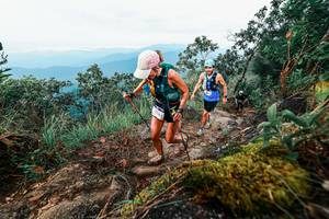 BIB: 
                            <button type="button" onclick="openModal(25407035)" class="btn btn-primary btn-sm float-right btn-popup" data-toggle="modal" data-target=".modal-high-quality">
                        <i class="fas fa-shopping-cart"></i> Add to Cart
                    </button>
                                            <button type="button" onclick="isThisMe(25407035, true)" class="btn btn-success btn-sm float-right btn-popup btn-isme hidden" data-toggle="tooltip" data-placement="bottom" title="นี่คือรูปของคุณใช่ไหม คลิกที่นี่เพื่อเอาเข้าอัลบั้ม">
                        <i class="fas fa-plus"></i> Add to album
                    </button>
                    <button type="button" onclick="isThisMe(25407035, false)" class="btn btn-warning btn-sm float-right btn-popup btn-isnotme hidden">
                        <i class="fas fa-ban"></i> Remove from album
                    </button>