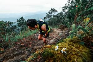 BIB: 
                            <button type="button" onclick="openModal(25403294)" class="btn btn-primary btn-sm float-right btn-popup" data-toggle="modal" data-target=".modal-high-quality">
                        <i class="fas fa-shopping-cart"></i> Add to Cart
                    </button>
                                            <button type="button" onclick="isThisMe(25403294, true)" class="btn btn-success btn-sm float-right btn-popup btn-isme hidden" data-toggle="tooltip" data-placement="bottom" title="นี่คือรูปของคุณใช่ไหม คลิกที่นี่เพื่อเอาเข้าอัลบั้ม">
                        <i class="fas fa-plus"></i> Add to album
                    </button>
                    <button type="button" onclick="isThisMe(25403294, false)" class="btn btn-warning btn-sm float-right btn-popup btn-isnotme hidden">
                        <i class="fas fa-ban"></i> Remove from album
                    </button>