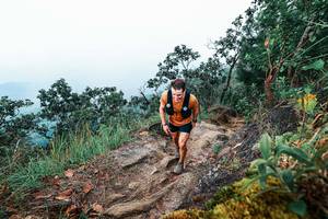 BIB: 
                            <button type="button" onclick="openModal(25416025)" class="btn btn-primary btn-sm float-right btn-popup" data-toggle="modal" data-target=".modal-high-quality">
                        <i class="fas fa-shopping-cart"></i> Add to Cart
                    </button>
                                            <button type="button" onclick="isThisMe(25416025, true)" class="btn btn-success btn-sm float-right btn-popup btn-isme hidden" data-toggle="tooltip" data-placement="bottom" title="นี่คือรูปของคุณใช่ไหม คลิกที่นี่เพื่อเอาเข้าอัลบั้ม">
                        <i class="fas fa-plus"></i> Add to album
                    </button>
                    <button type="button" onclick="isThisMe(25416025, false)" class="btn btn-warning btn-sm float-right btn-popup btn-isnotme hidden">
                        <i class="fas fa-ban"></i> Remove from album
                    </button>