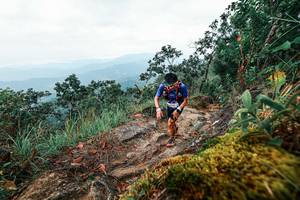 BIB: 
                            <button type="button" onclick="openModal(25404311)" class="btn btn-primary btn-sm float-right btn-popup" data-toggle="modal" data-target=".modal-high-quality">
                        <i class="fas fa-shopping-cart"></i> Add to Cart
                    </button>
                                            <button type="button" onclick="isThisMe(25404311, true)" class="btn btn-success btn-sm float-right btn-popup btn-isme hidden" data-toggle="tooltip" data-placement="bottom" title="นี่คือรูปของคุณใช่ไหม คลิกที่นี่เพื่อเอาเข้าอัลบั้ม">
                        <i class="fas fa-plus"></i> Add to album
                    </button>
                    <button type="button" onclick="isThisMe(25404311, false)" class="btn btn-warning btn-sm float-right btn-popup btn-isnotme hidden">
                        <i class="fas fa-ban"></i> Remove from album
                    </button>