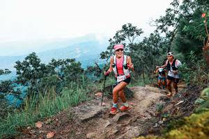 BIB: 
                            <button type="button" onclick="openModal(25418164)" class="btn btn-primary btn-sm float-right btn-popup" data-toggle="modal" data-target=".modal-high-quality">
                        <i class="fas fa-shopping-cart"></i> Add to Cart
                    </button>
                                            <button type="button" onclick="isThisMe(25418164, true)" class="btn btn-success btn-sm float-right btn-popup btn-isme hidden" data-toggle="tooltip" data-placement="bottom" title="นี่คือรูปของคุณใช่ไหม คลิกที่นี่เพื่อเอาเข้าอัลบั้ม">
                        <i class="fas fa-plus"></i> Add to album
                    </button>
                    <button type="button" onclick="isThisMe(25418164, false)" class="btn btn-warning btn-sm float-right btn-popup btn-isnotme hidden">
                        <i class="fas fa-ban"></i> Remove from album
                    </button>